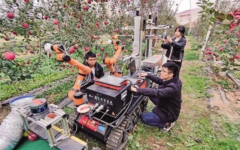苹果采摘机器人